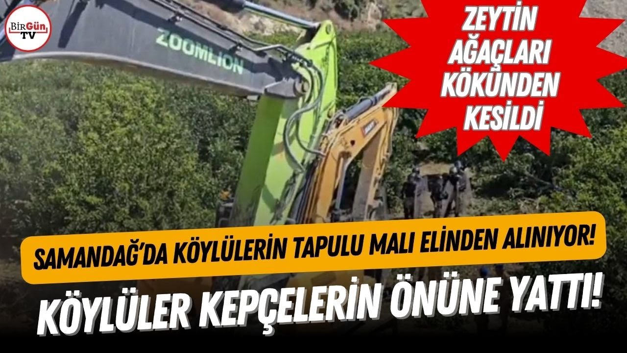 Hatay Samandağ’da “acele kamulaştırma” krizi! Ağaçlar kesildi, köylüler kepçelerin önüne yattı