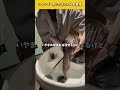 ほんと稀に起きるシャンプー中の出来事#美容師#美容師あるある
