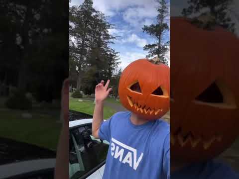 TESLA SEES GHOSTS!!!