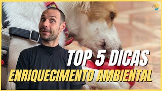 TOP 5 ENVIRONMENTAL ENRICHMENT TIPS FOR DOGS | UNDERSTAND HOW TO TIRED YOUR DOG [NO WALKS]