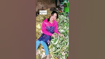 Dầu gội thảo dược vỏ bưởi non chống rụng tóc, kích thích mọc tóc