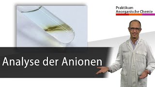 Analyse der Anionen - Praktikum Anorganische Chemie