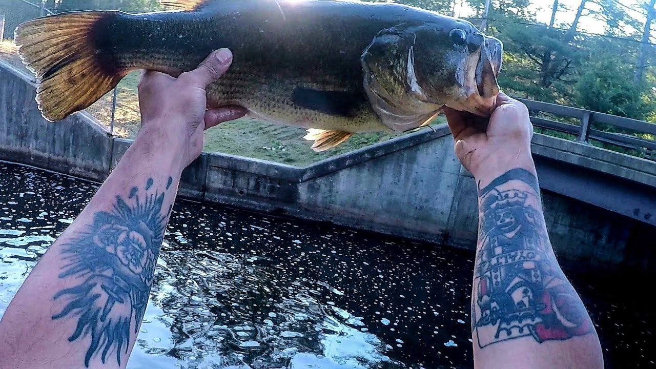 BIG BASS on the RAT 🐀 Cast2Catch