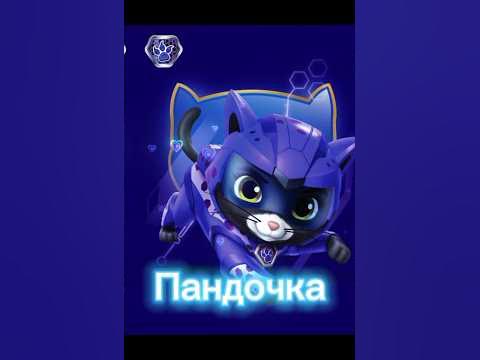 Дикий кот/Щенячий патруль - YouTube