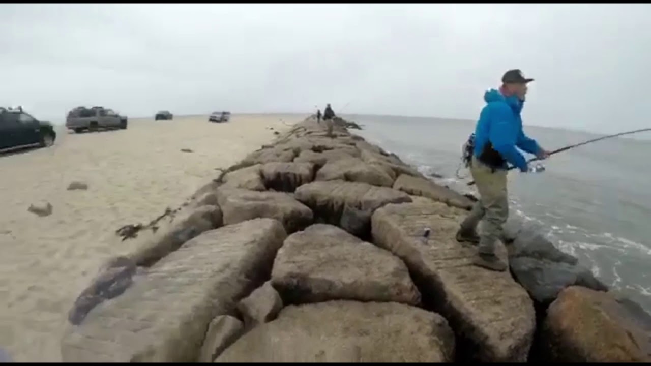 Dia de Pesca de Blue Fish