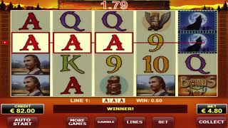 Lucky Risk Game On Wolf Moon Slot Machine - Big Win On Bonus Spin screenshot 5