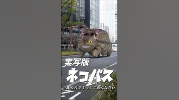 【非公式】実写版ネコバス🐱