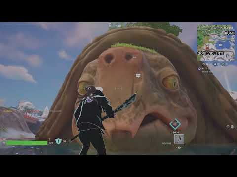 Una tartaruga gigante