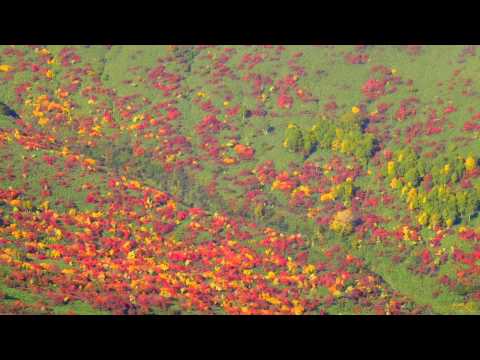 20131010 紅葉の神仙沼　イワオヌプリ　トレッキングツアー