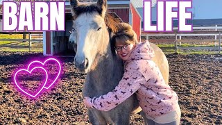 From Snuggling Foals to Feeding Horses A Day in the Life at Free Spirit Equestrian!
