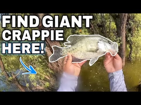 CREEK CRAPPIE Fishing From THE BANK DURING THE ARTIC BLAST🥶 JAN