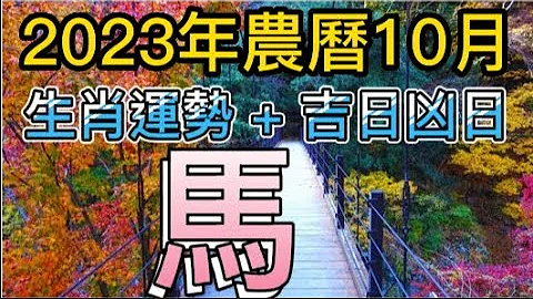 【古柏論命每月運勢 + 吉日凶日】2023年農曆十月(陽曆11/13 ~ 12/12)生肖運勢分享 -  馬 - 天天要聞