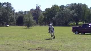 Molly Bennett & Gandalf Pr Xc