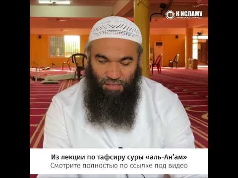 Что говорить при гневе, чтобы успокоиться? #shorts Ринат Абу Мухаммад