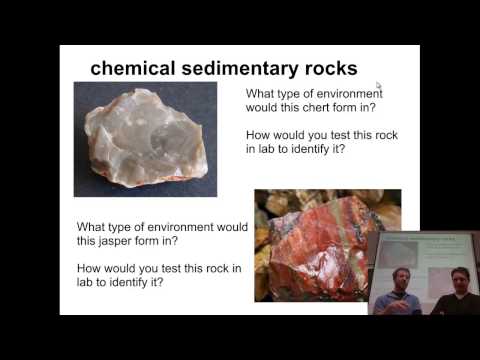 How Can Organic Sedimentary Rocks Form?