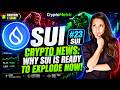Sui Crypto News: Why SUI Is Ready to Explode Now!
