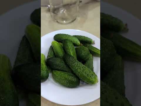 ОГУРЦЫ, КАК С ГРЯДКИ ЦЕЛЫЙ МЕСЯЦ🥒🥒🥒 #советыотпалыча #советы #топ