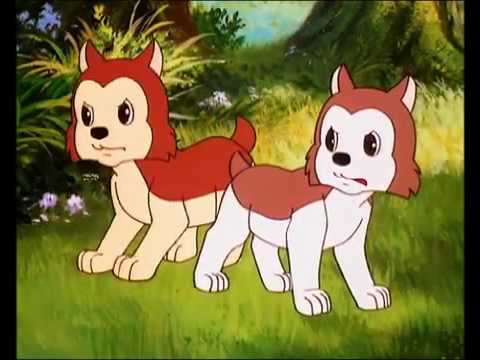 سيمبا الحلقه 12