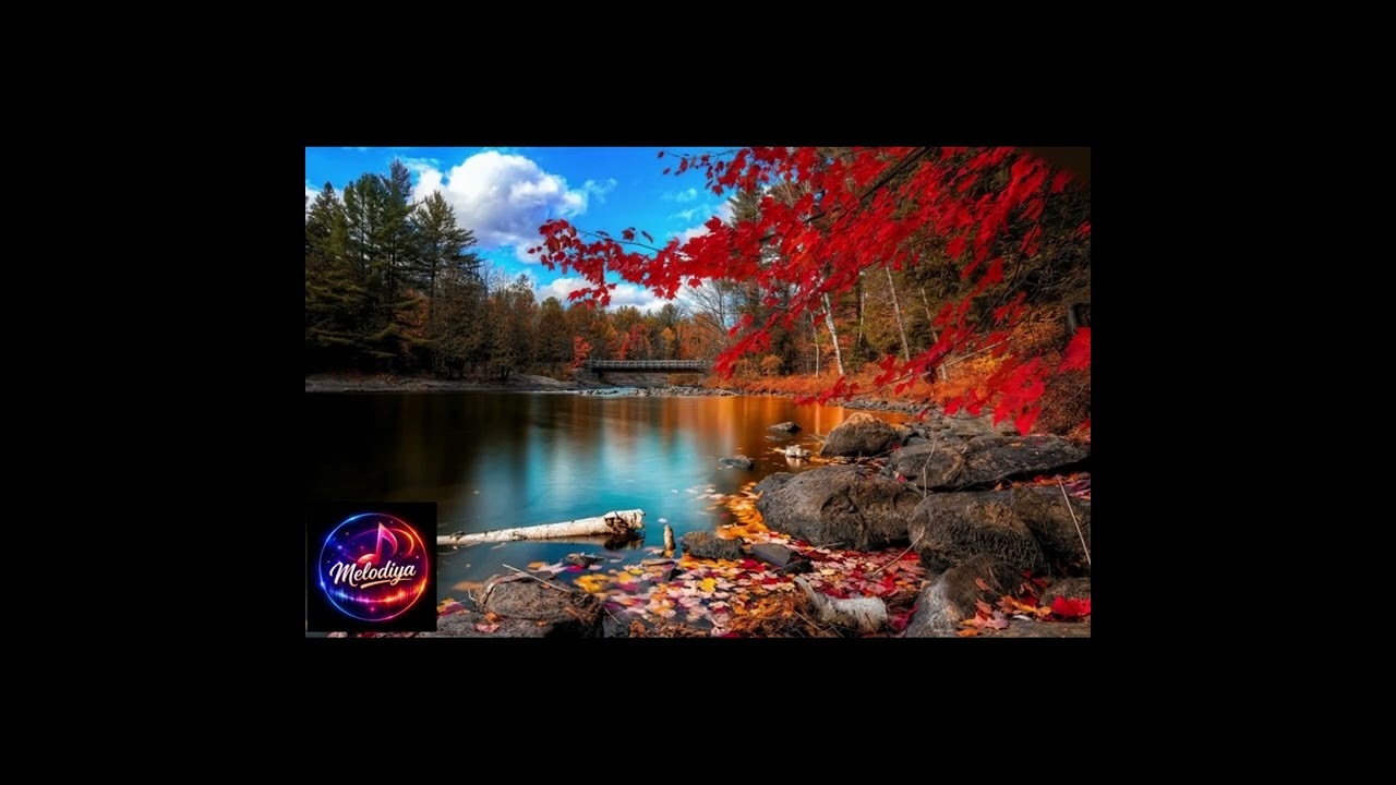 -YANIK AŞK -  #music #musicvideo #newmusic #song #viral #trending #hitmusic #melody #youtubeshorts