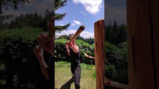 kongfu  #shortvideo #shorts #short #random