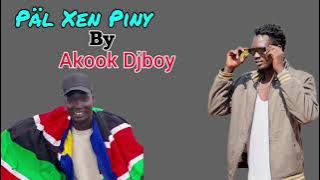 Akook Djboy - Päl a Piny (Official Audio)