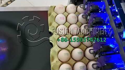 Expiry Date Inkjet Printer for Egg Automatic Codes Printing Machinery huevos máquina de impresión