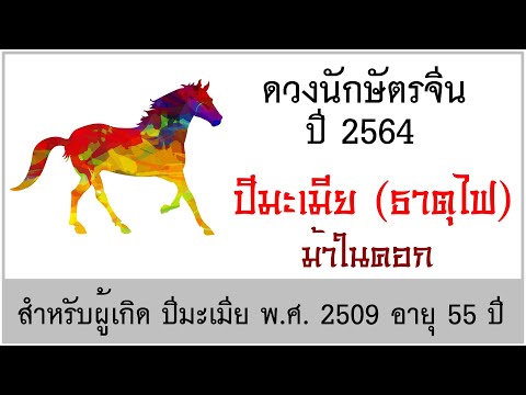 วีดีโอ: ม้าชนิดใดในปี พ.ศ. 2509?