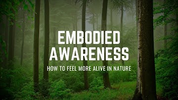 Embodied Awareness: How To Feel More Awe And Wonder In Nature