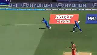 CRICKET GIF.