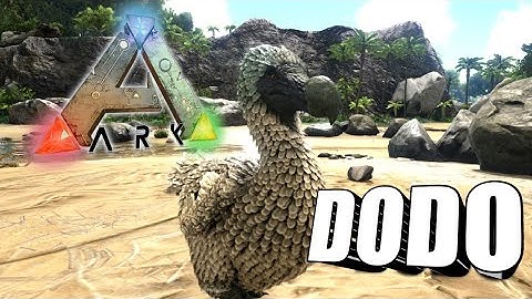 Taming A Dodo | Ark Survival Evolved | The Island