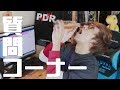 Q&A | How many girls did you date? ...etc