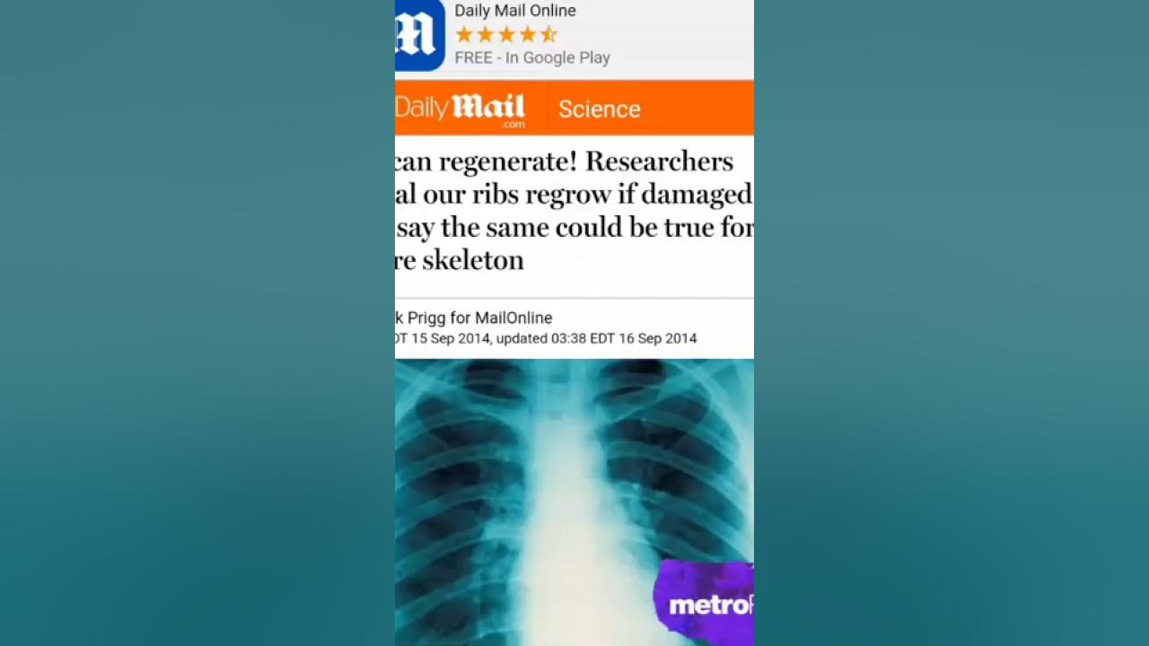 Ribs Can Regenerate Part 2 YouTube