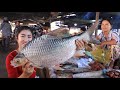 Big River Fish Recipe / Buy River Fish From Market / Prepare By Countryside Life TV