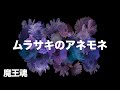 【魔王魂公式】ムラサキのアネモネ