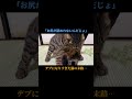 デブになりすぎた猫の末路… #shorts