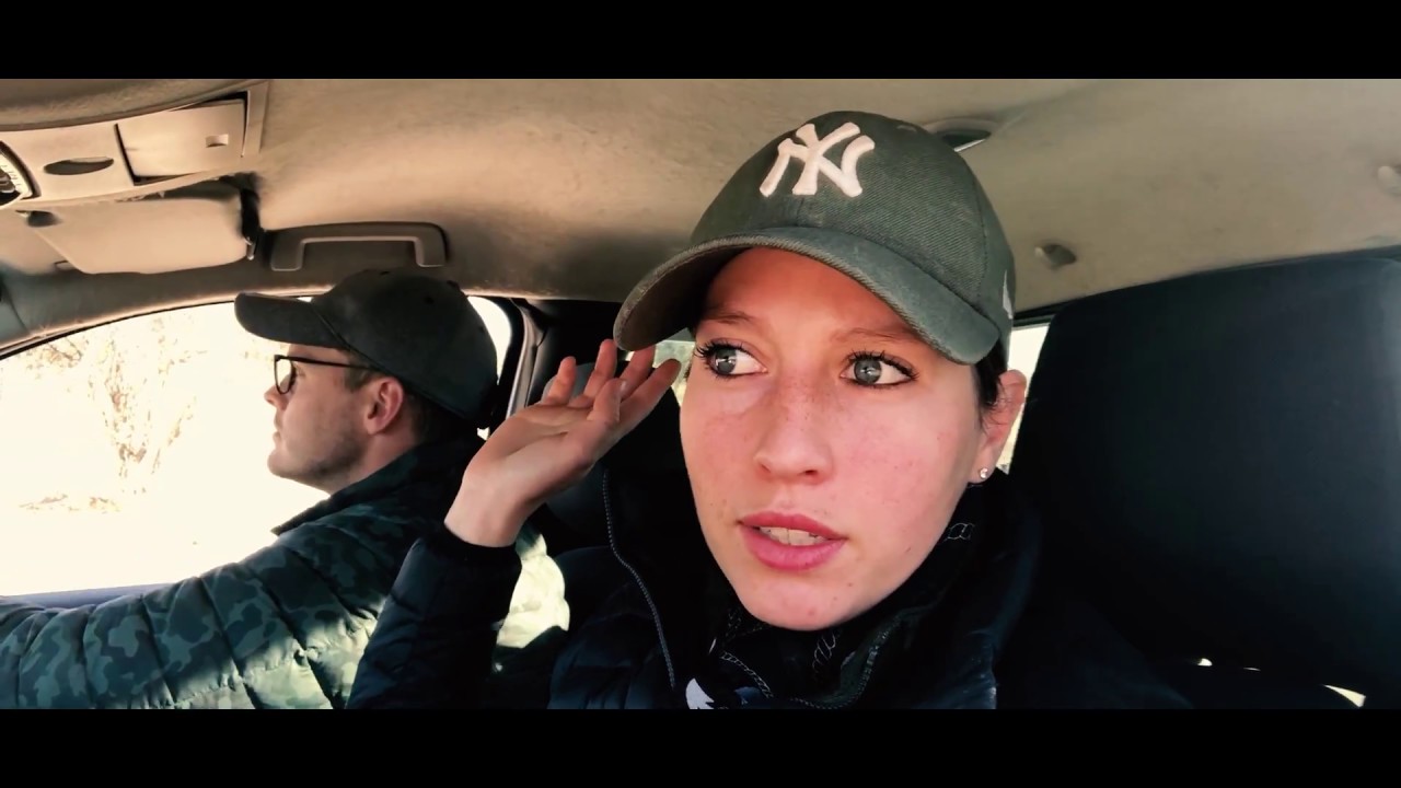 Kgalagadi transfrontier national park 2018 video to gif