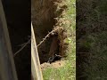 Emergency Main Sewer Line Clog East Lyme Connecticut | Root Blockage Repair