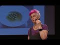 The Human Factor in Culinary Arts | Cristina Bowerman | TEDxAUBG