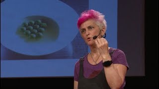 The Human Factor in Culinary Arts | Cristina Bowerman | TEDxAUBG