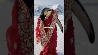plz comment "link" for price details #sareeusa