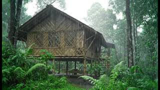 No Ads,Sleep fast,Save data: It rained this morning in my village, it was nice to continue sleeping  screenshot 4