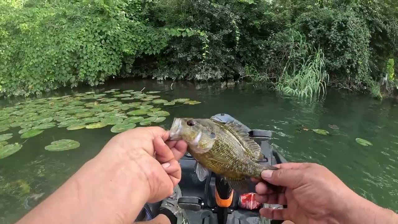 Lake Dunlap Bass Fishing