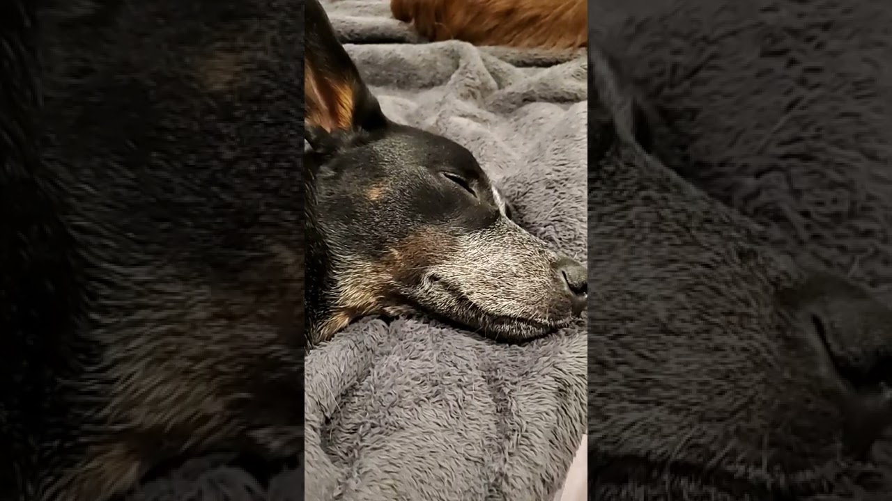 Butterscotch Stanley new single "The River Delta" 