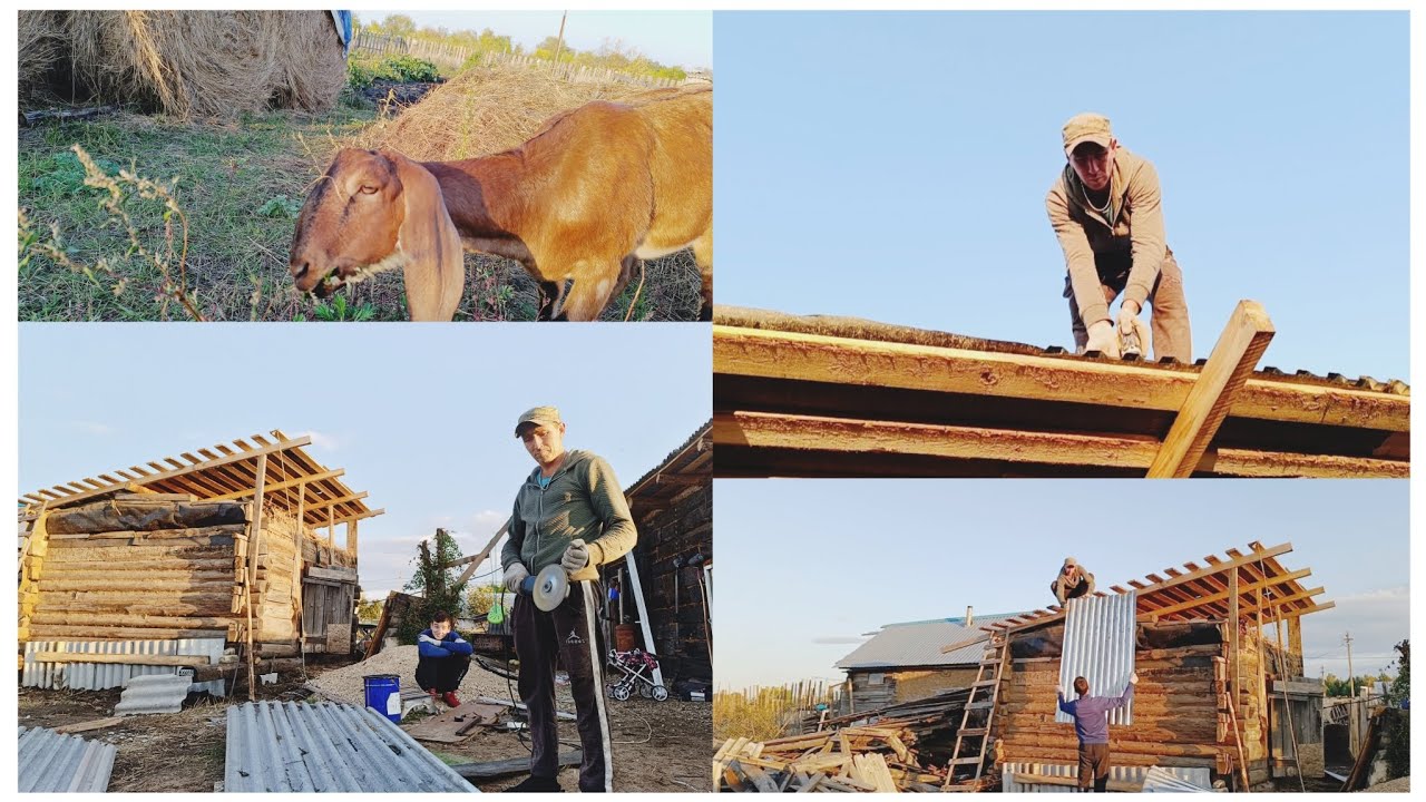 Кроем крышу, козы на голове стоят, куры прячут яйца. - YouTube