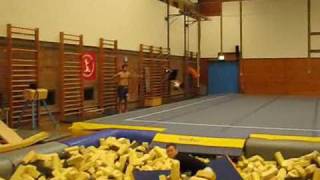 monkey gainer