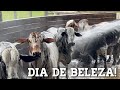 ANTES DO LEILÃO… Toilet, banho e filmagem! EP - 46