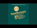 Miniature de la vidéo de la chanson Piano Sonata No. 32 In C Minor, Op. 111: I. Maestoso - Allegro Con Brio Ed Appassionato (1961 Recording)