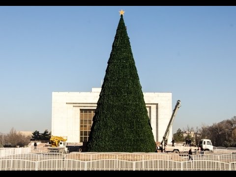 Video: Кантип сапаттуу жасалма балатыны тандаса болот