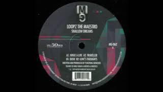 LoopZ The Maestro - Dusk