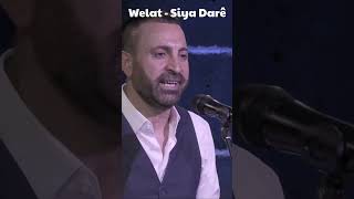 Download Lagu Welat - Siya Darê MP3